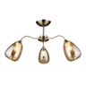 Потолочная люстра Wedo Light Савона 66233.01.05.03
