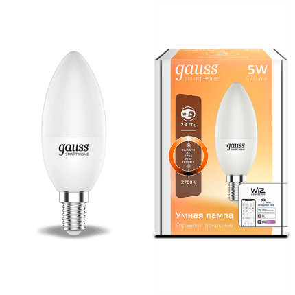 Светодиодная лампа Gauss Smart Home Свеча 1100112