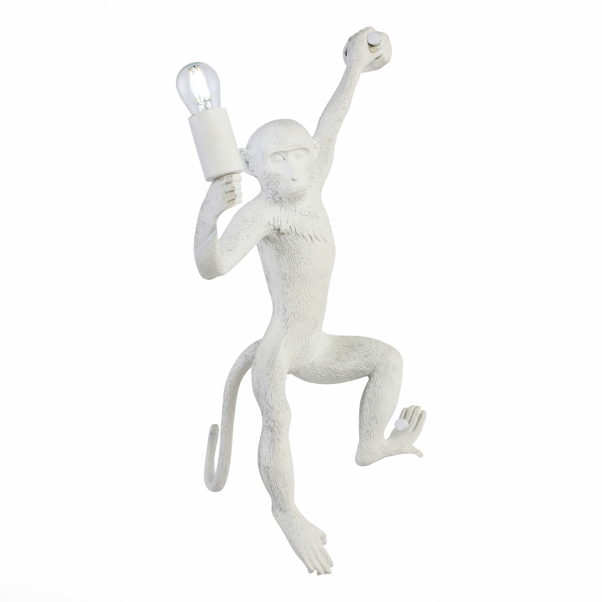 Настенное бра Evoluce Tenato SLE115111-01