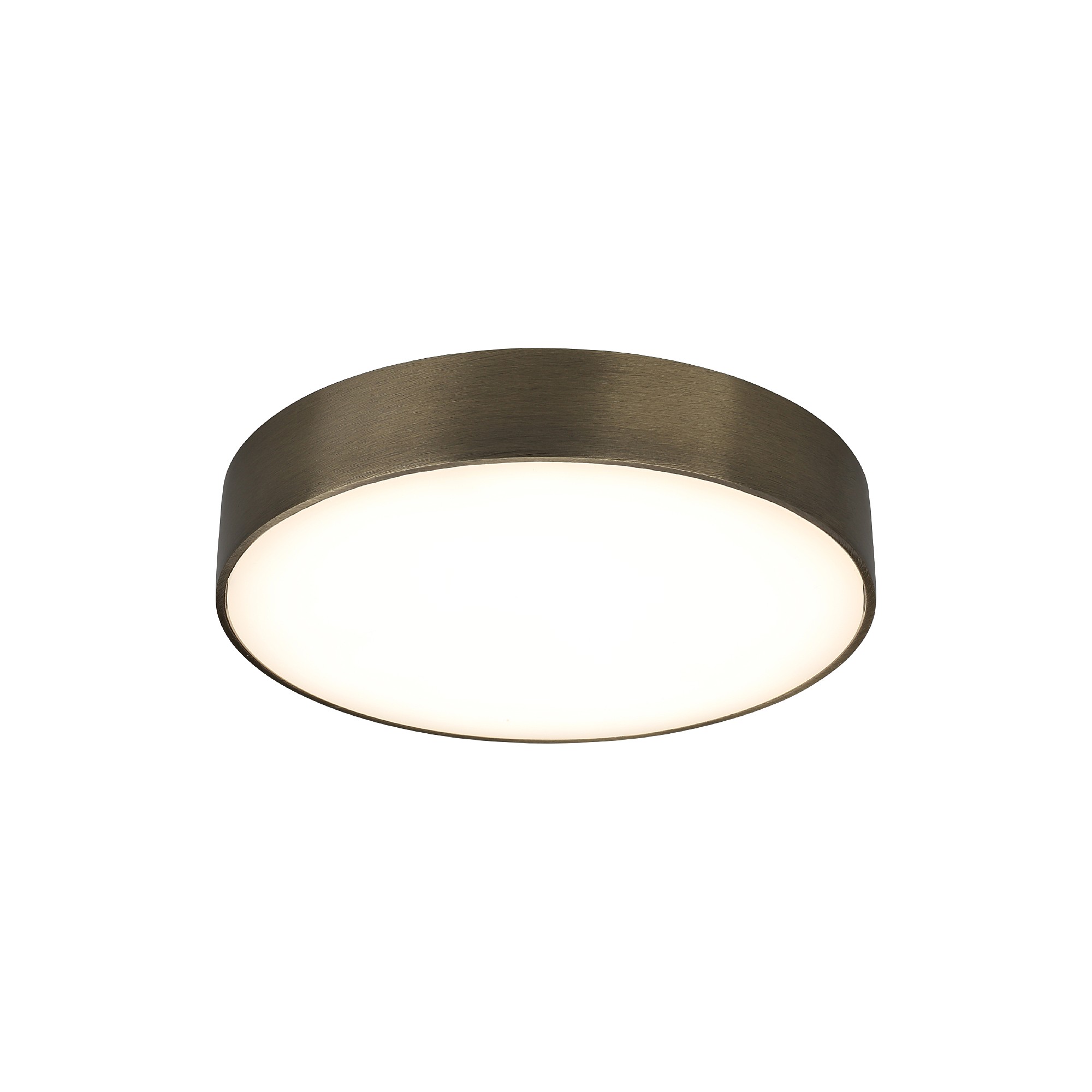 Светильник потолочный Aployt Evon APL.0114.29.24