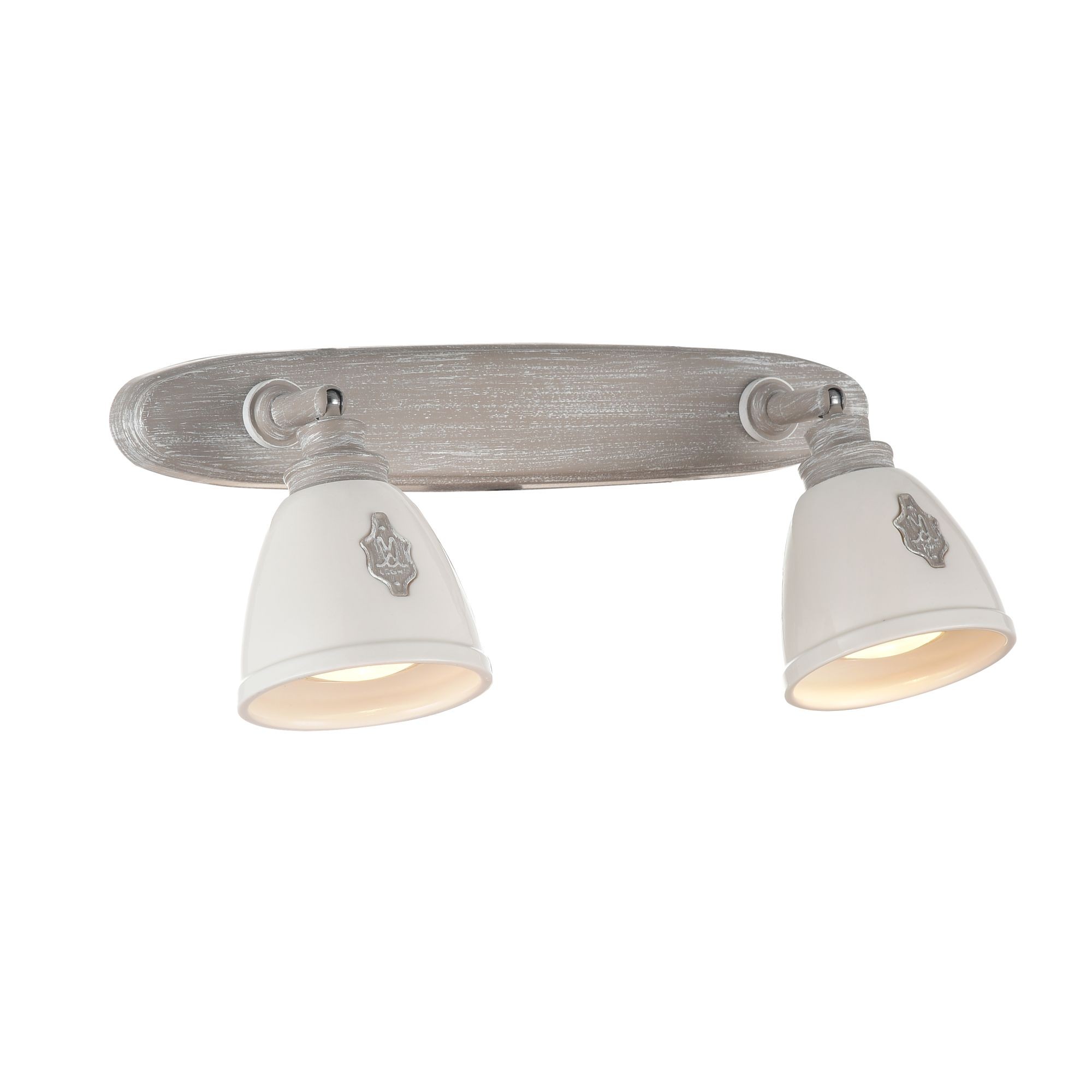 Светильник спот Maytoni Agnes SP289-CW-02-BG