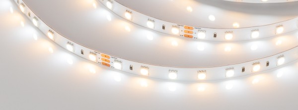 LED лента Arlight RT открытая 025213