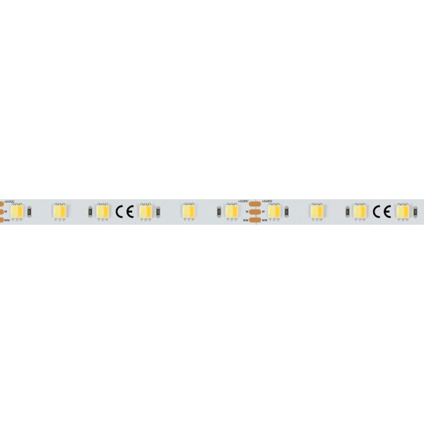 LED лента Arlight RT открытая 025214