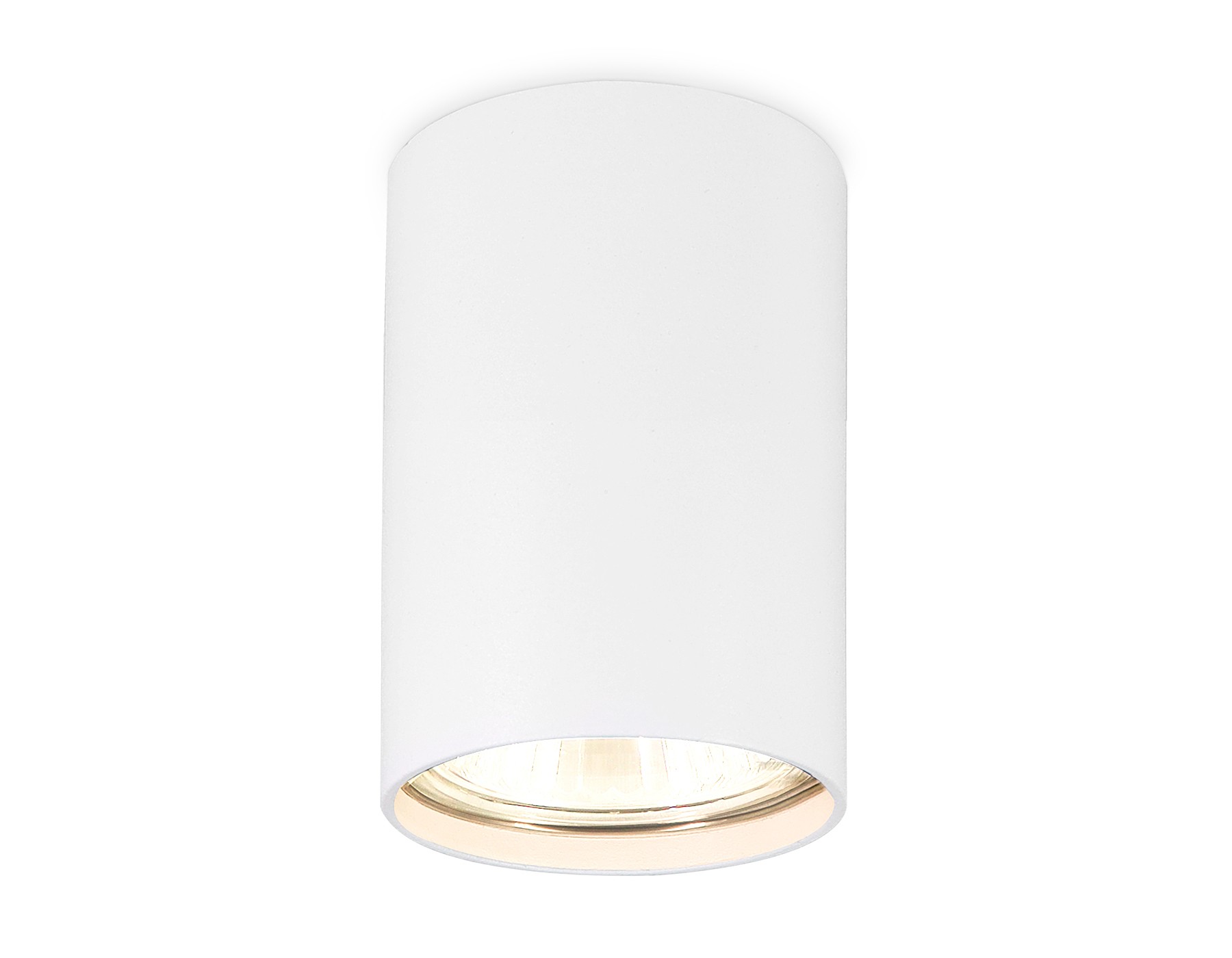 Накладной светильник Ambrella Cup TN213101