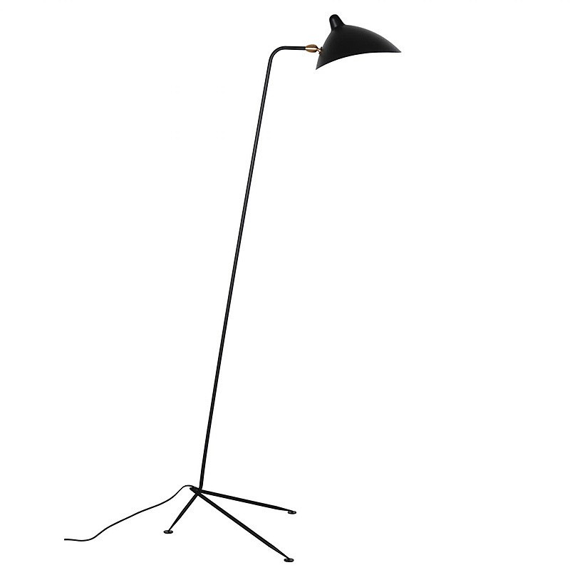 Торшер L'Arte Luce Luxury Spider L05641