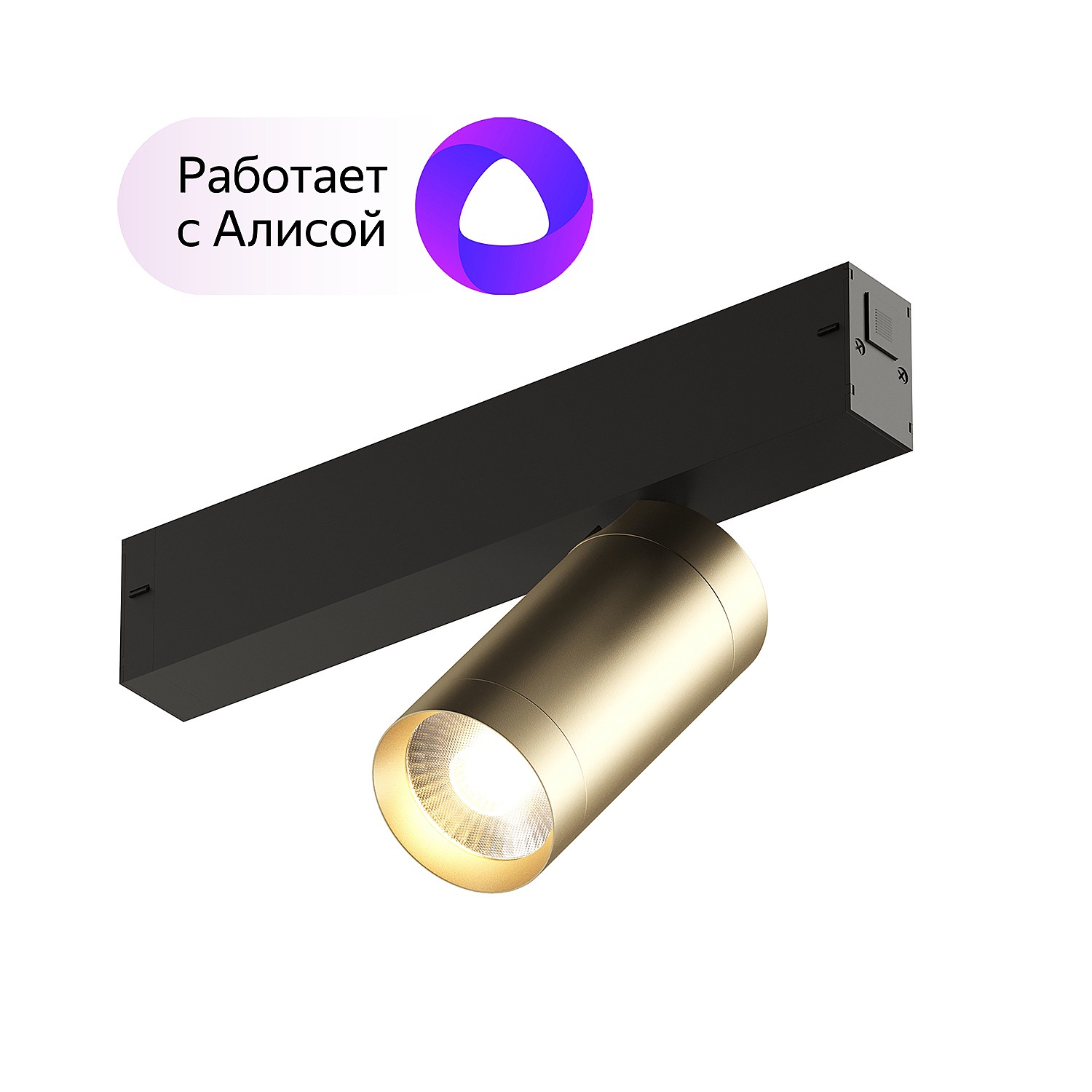 Трековый светильник Denkirs DK8010-BG