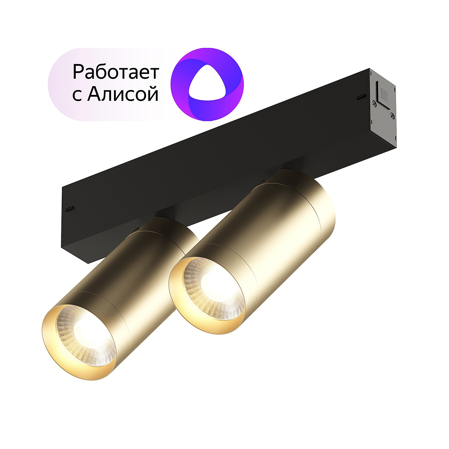 Трековый светильник Denkirs DK8012-BG