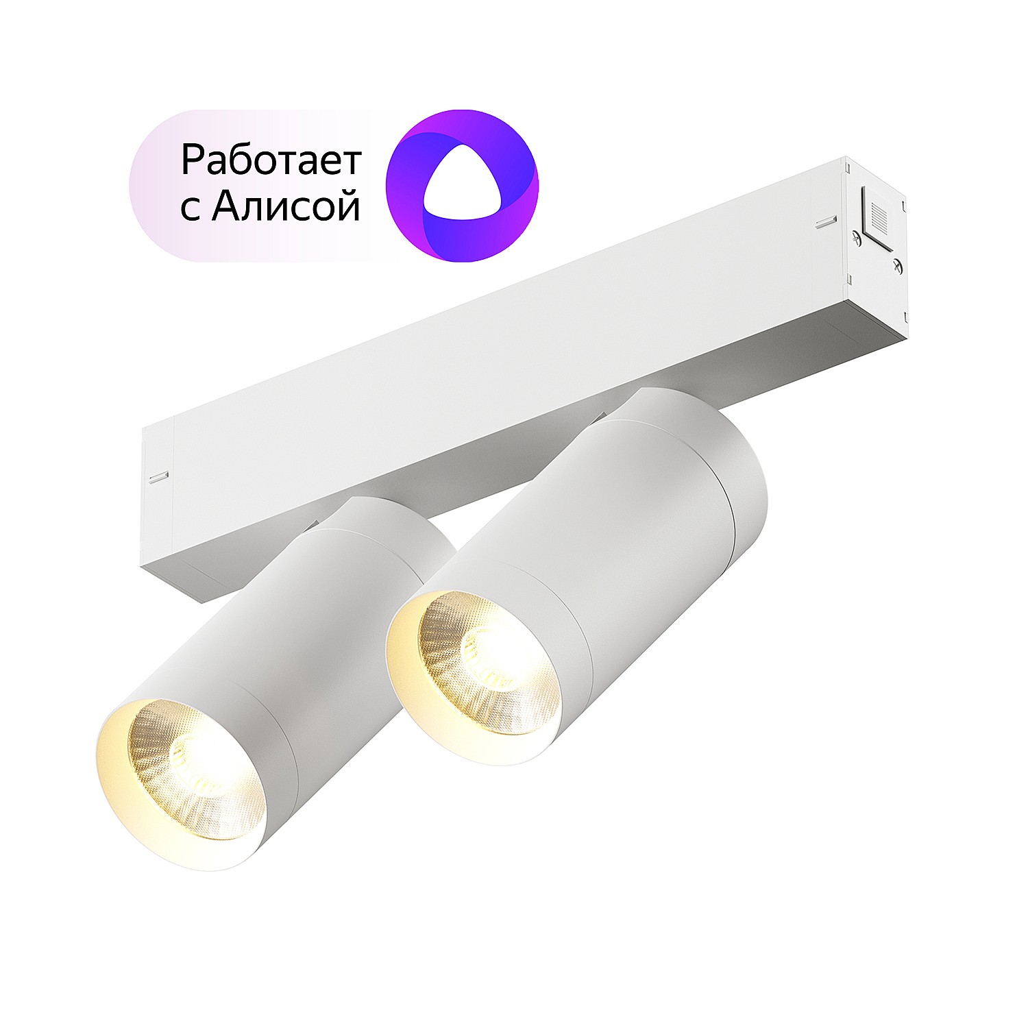 Трековый светильник Denkirs DK8012-WH