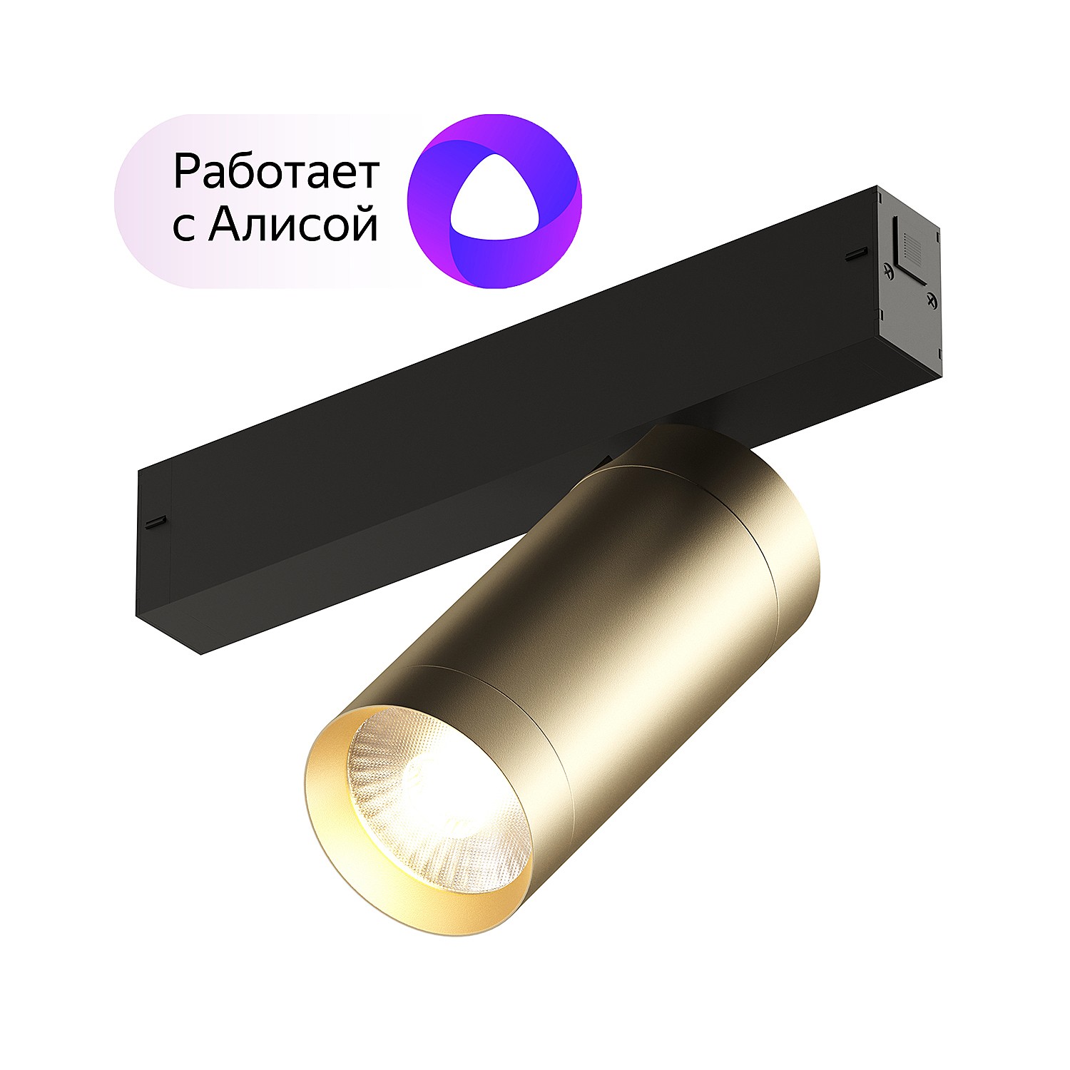 Трековый светильник Denkirs DK8020-BG