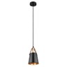 Светильник подвесной Arte Lamp Thomas A7032SP-1BK