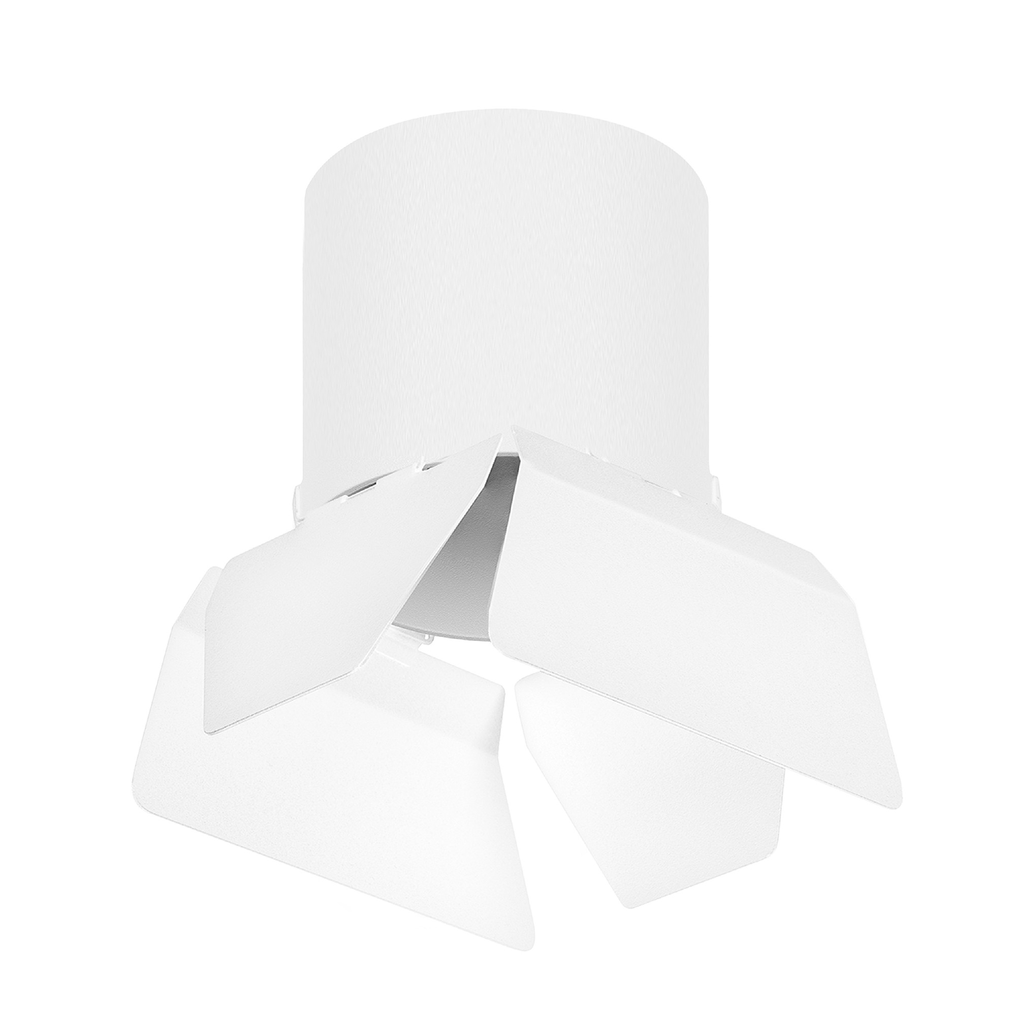 Накладной светильник Lightstar Rullo R3486486