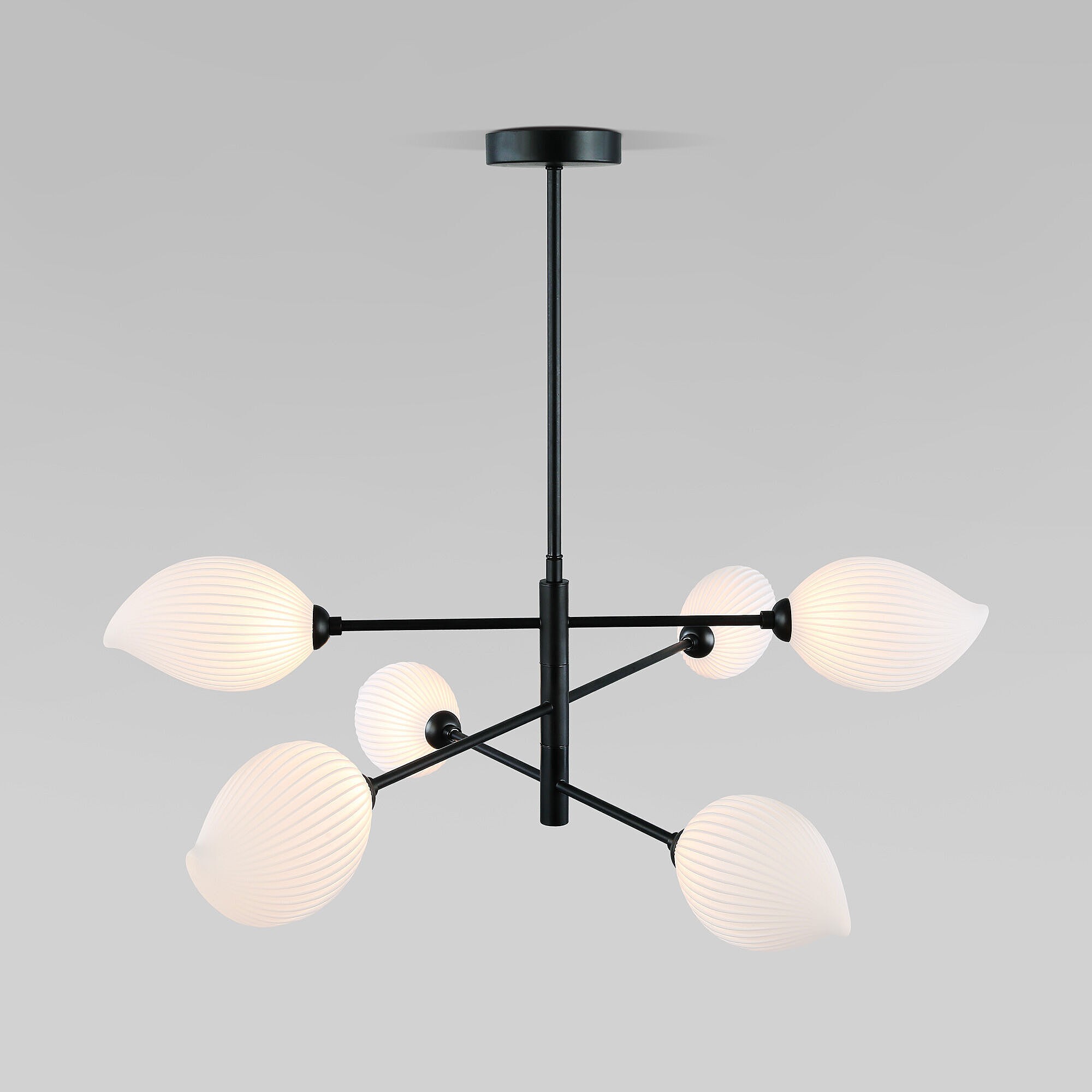 Потолочная люстра Eurosvet Sinki 30189/6 черный