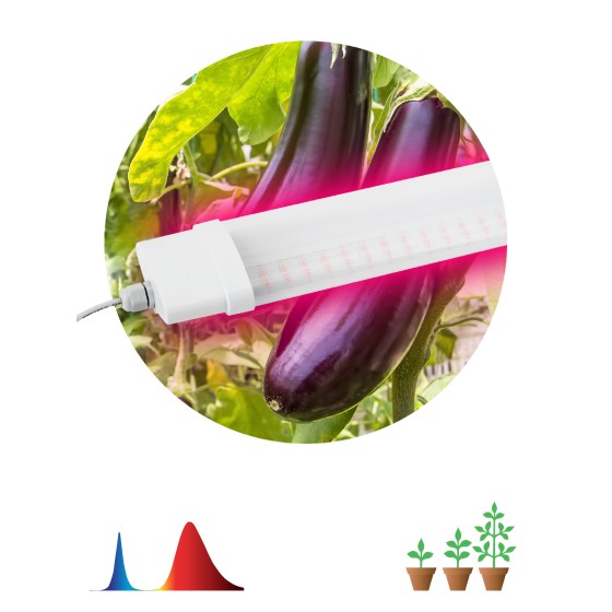 Светильник для растений, фитолампа светодиодная линейная ЭРА FITO-36W-RB-N