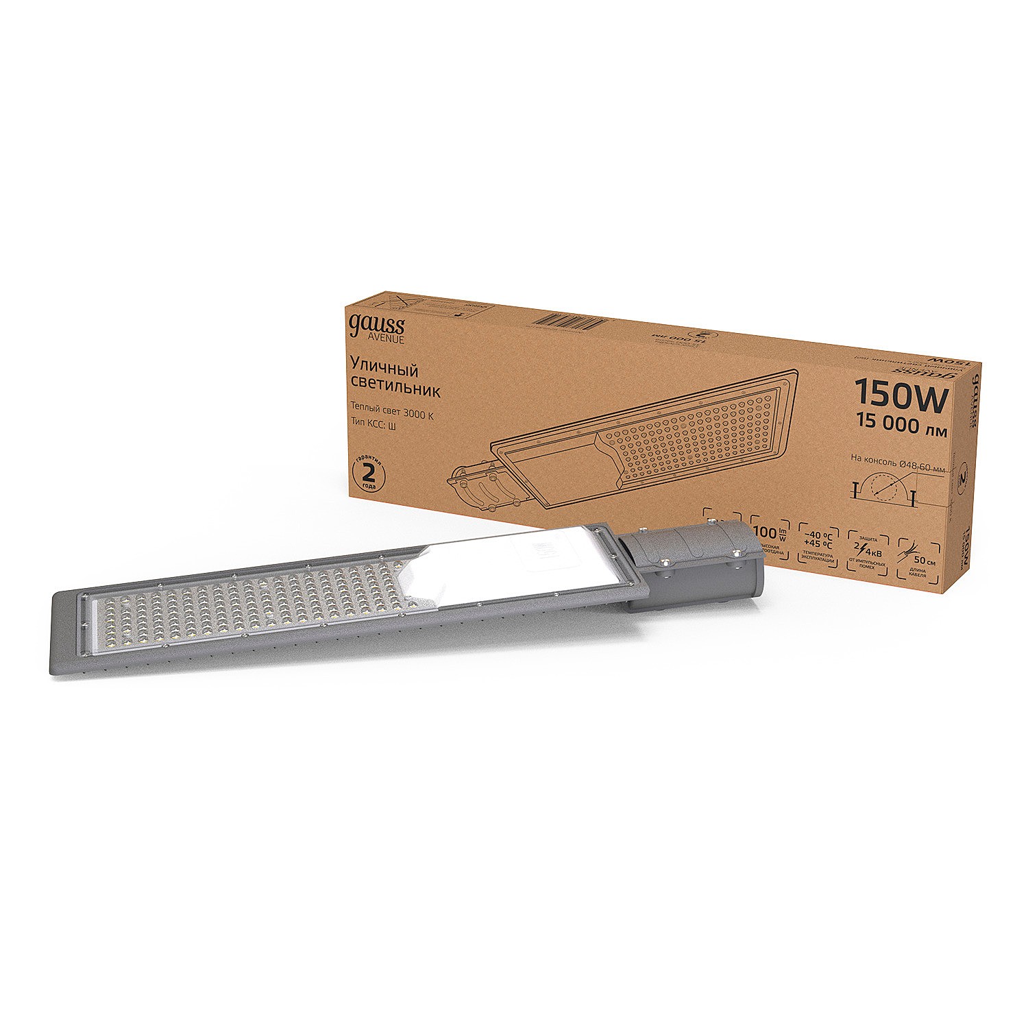 Консольный уличный светильник Gauss 629534105