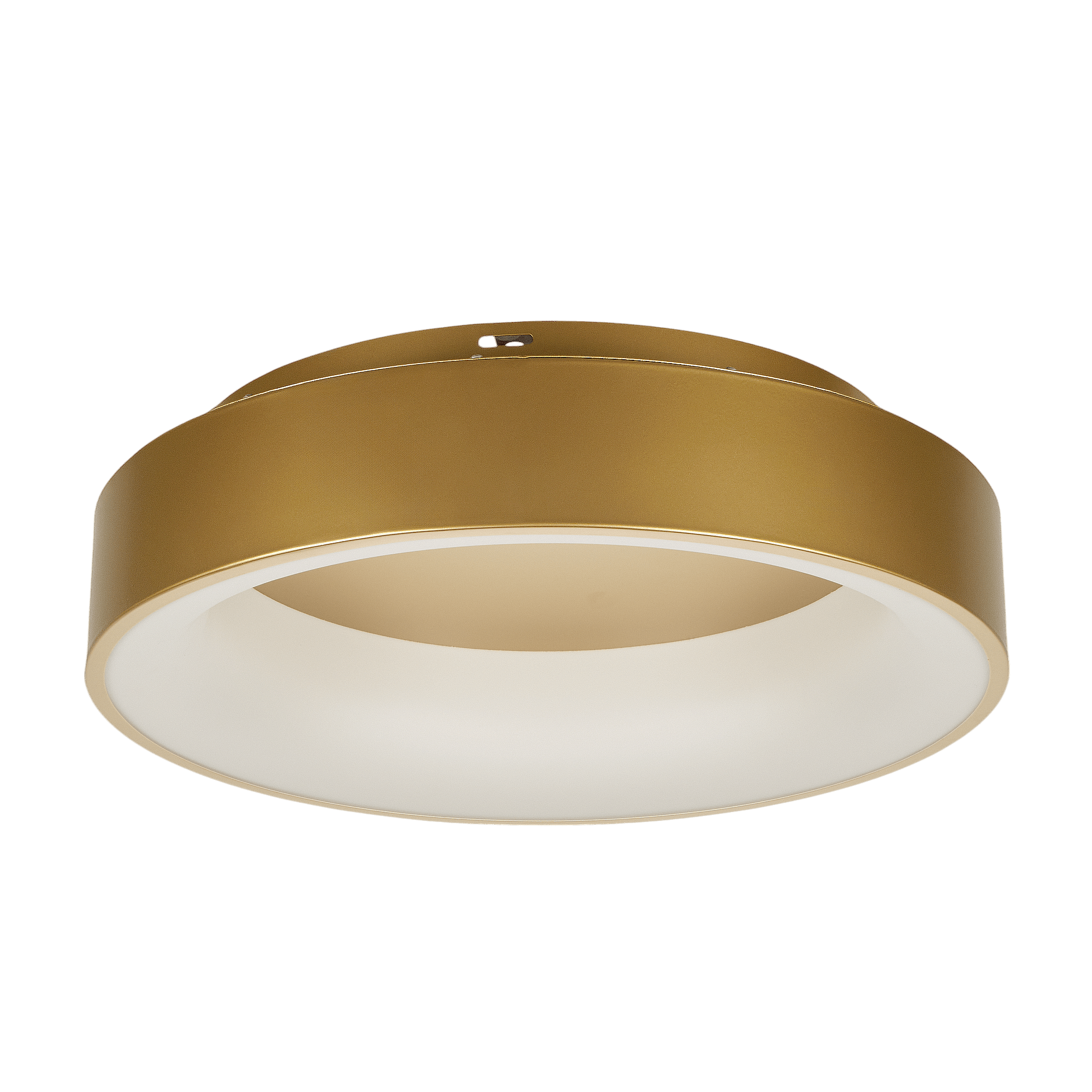 Светильник потолочный MyFar Shannon MR2195-1PL