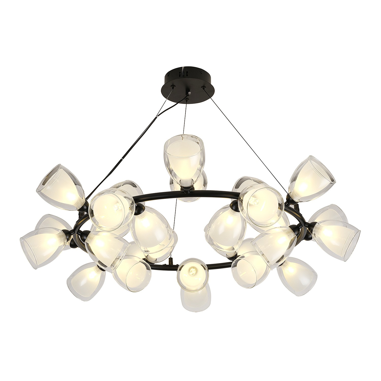 Подвесная люстра Lussole LSP-6065