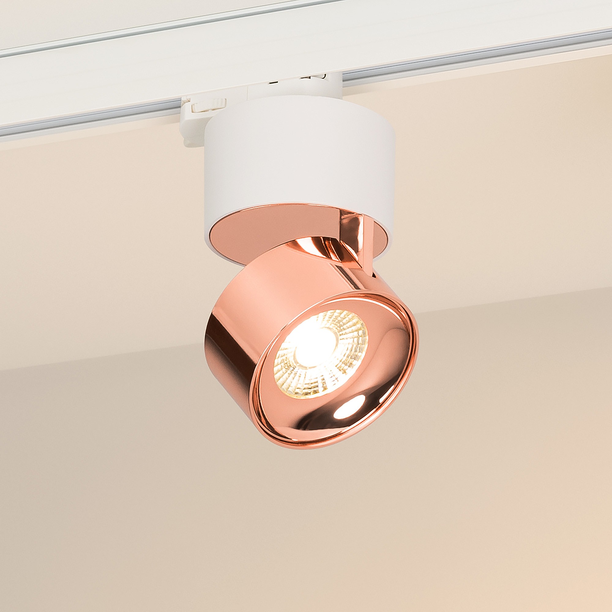 Трековый светильник Arlight Plurio 038116