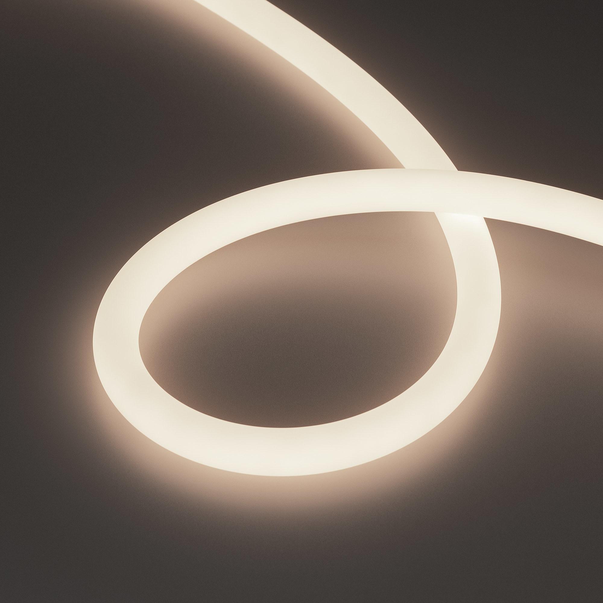 Светодиодный шнур Arlight Moonlight 038753