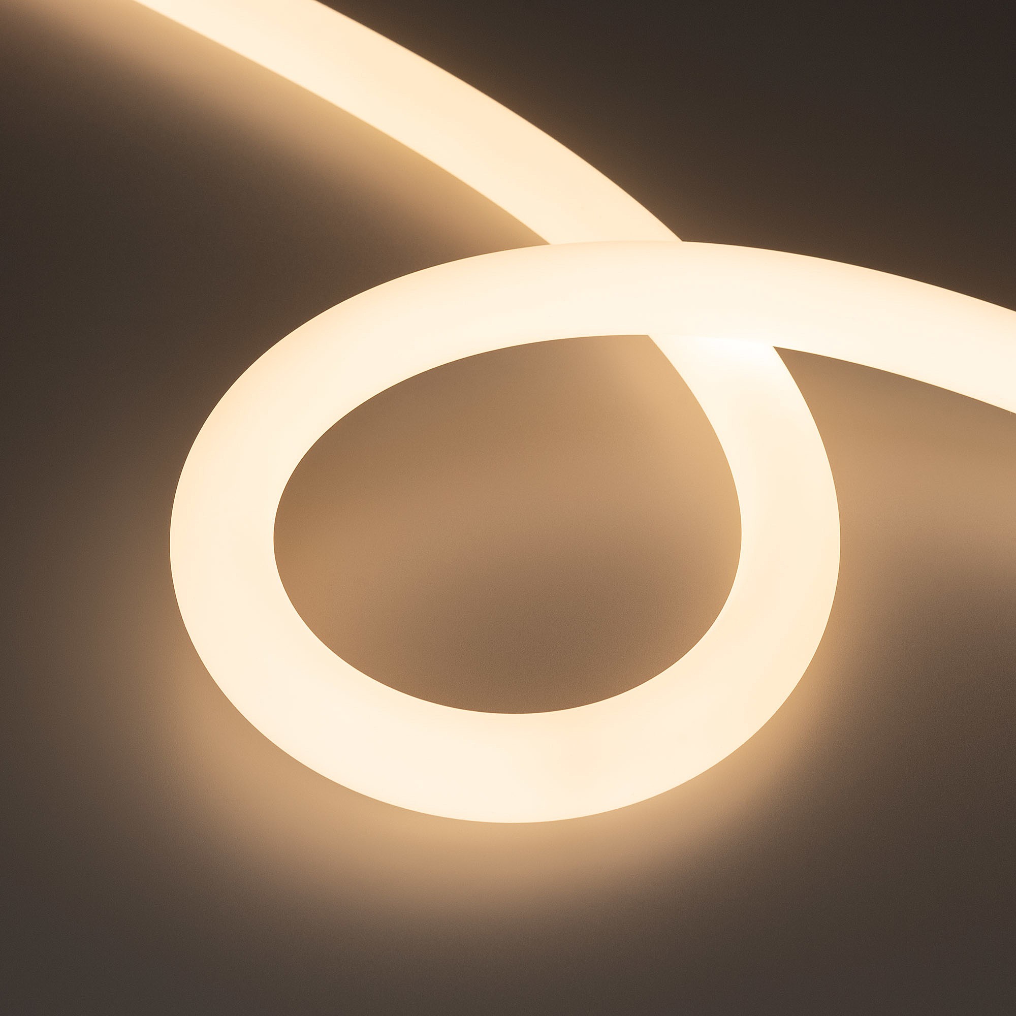 Светодиодный шнур Arlight Moonlight 038862