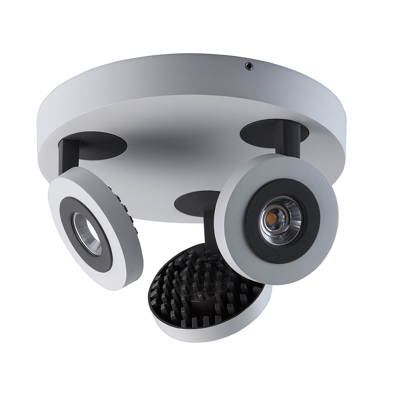 Светильник спот De Markt Астор 545020903