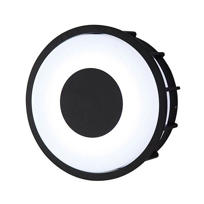 Настенно потолочный светильник L'Arte Luce TELMA L78056.31