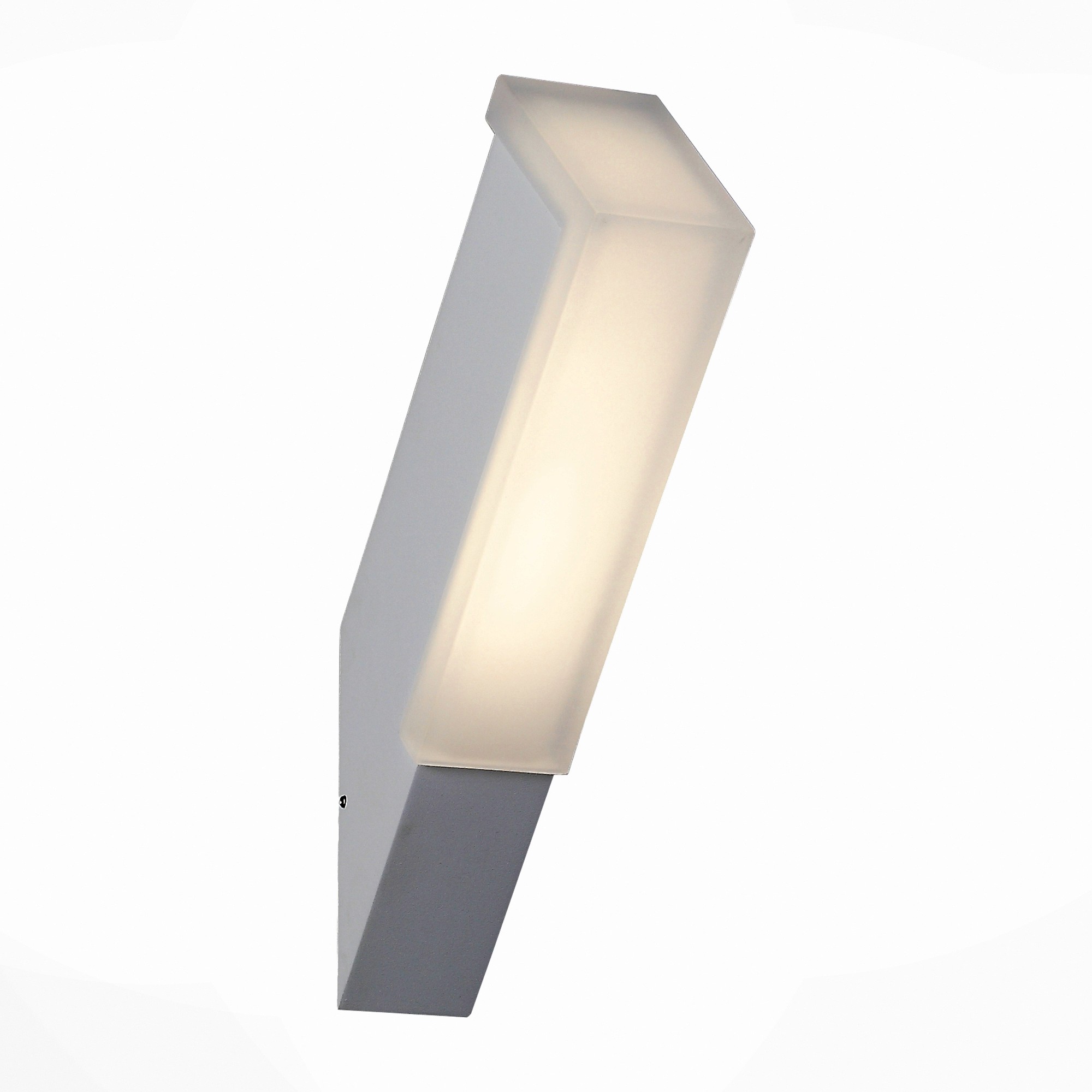 Уличный LED настенный светильник ST Luce Posto SL096.511.02