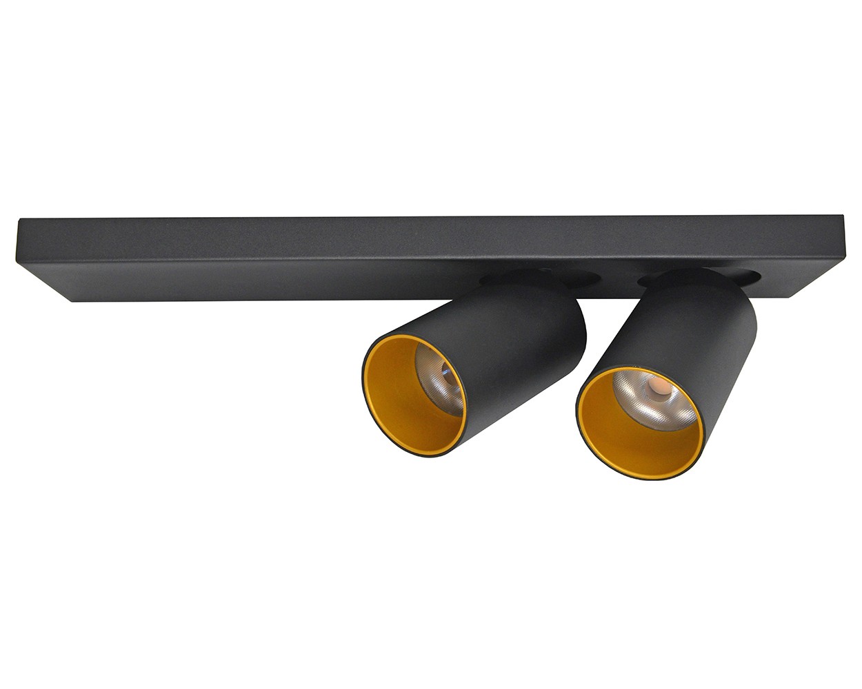 Светильник спот Lumien Hall Кайл 8002/2W-BK-GD